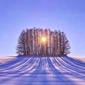 L'inverno è arrivato, un tour per il mondo tra tradizioni e usanze dedicate al solstizio di dicembre