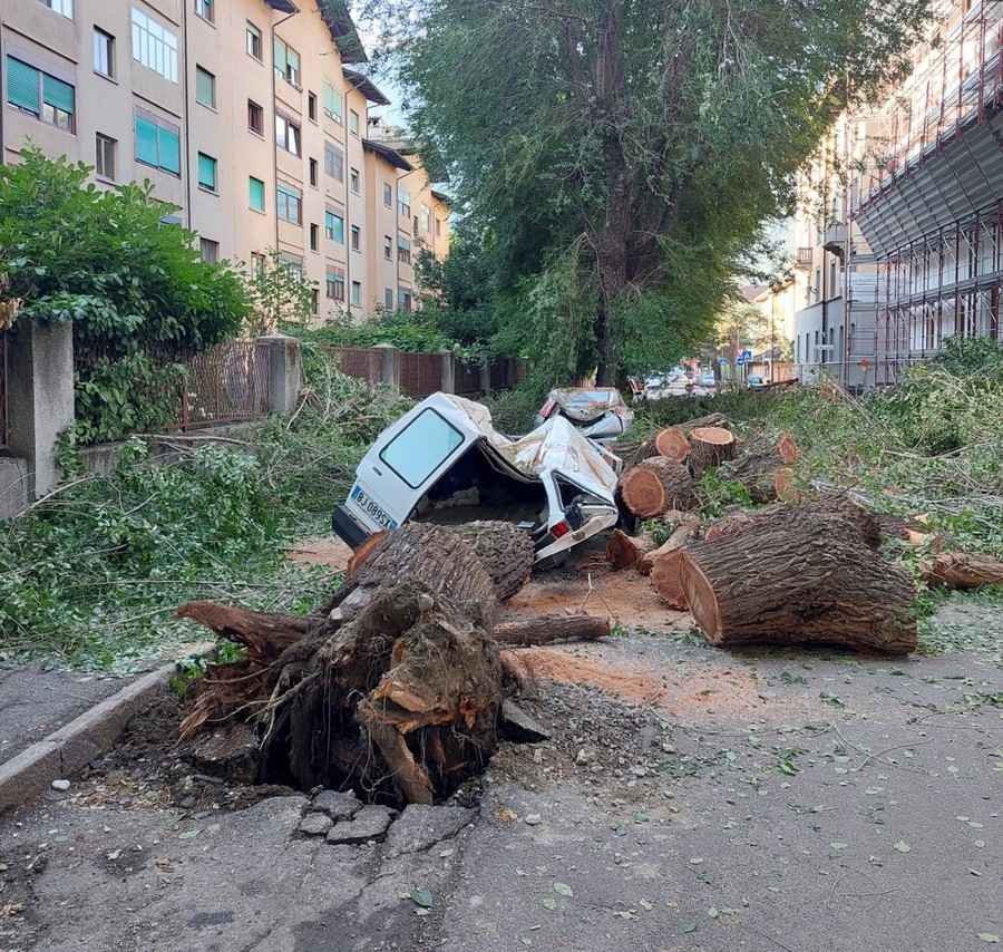 Alberi crollati su auto al quartiere Cogne di Aosta, iniziato iter di rimozione