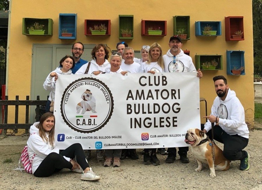 I qualificati veterinari dell'ospedale Anubi di BluVet veglieranno sul 'BULLDOG DAY' a Torino