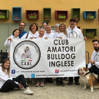 I qualificati veterinari dell'ospedale Anubi di BluVet veglieranno sul 'BULLDOG DAY' a Torino