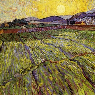 'Campo recintato con sole nascente' -1889 - Vincent van Gogh (1853-1890)