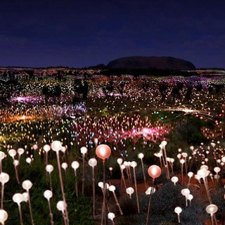 'Field of Light', Bruce Munro (1959)