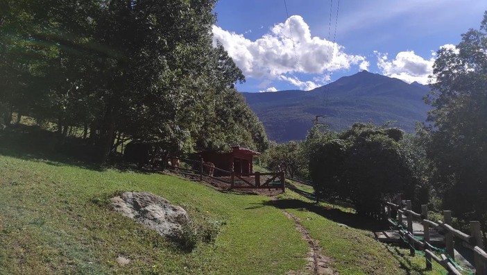 Nasce fra i boschi sopra Chatillon 'Il giardino di Lorenzo' per bimbi e adolescenti