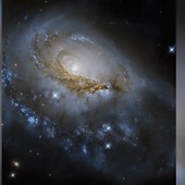 NGC 1961