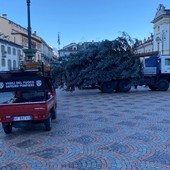 Aosta, oggi la posa dell'albero di Natale