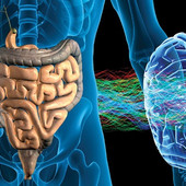 Webinar on air formativo tecnico scientifico gratuito