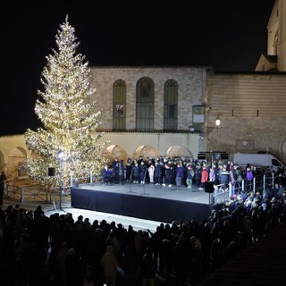 Acceso ad Assisi l'albero di Natale donato dalla Valle d'Aosta