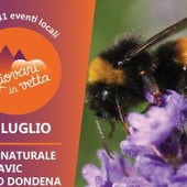 Torna 'I giovani in vetta' nel Parco Naturale Mont Avic