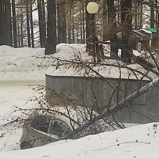 Vento forte, alberi su auto e su pista ciclabile