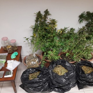 In casa avevano oltre cinque chili e mezzo di marijuana; coppia aostana agli arresti