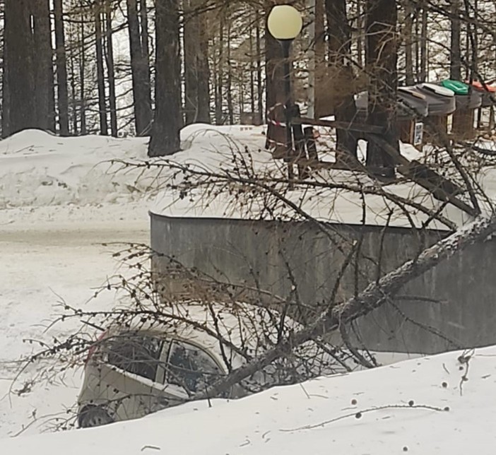 Vento forte, alberi su auto e su pista ciclabile