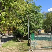 Abbattimento inevitabile per cinque aceri nel quartiere Dora ad Aosta