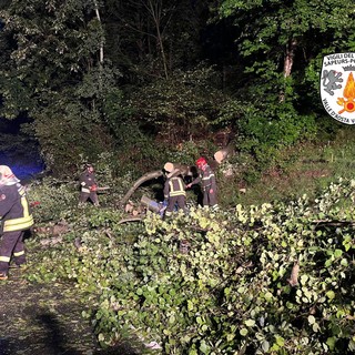 Brusson, albero caduto sulla strada regionale