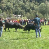 Batailles de Reines, si riprende oggi al Col de Joux