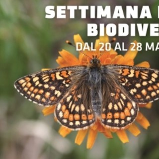 Tanti e tutti accattivanti gli eventi per la Settimana della biodiversità 2023