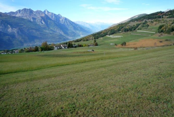 Agricoltura, approvato il primo piano di riordino fondiario