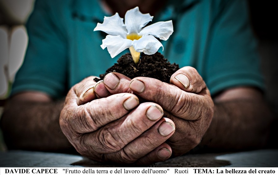 We Can Hope- Concorso fotografico nazionale.&quot; La Custodia del Creato 2019&quot;