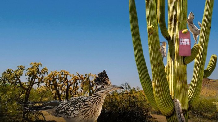 Divertente e riflessivo, 'Cactus Hotel' ha vinto il Gran Paradiso Film Festival