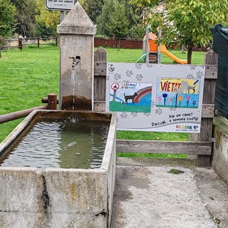 Aymavilles, a lezione di 'gestione canina' dagli studenti del paese