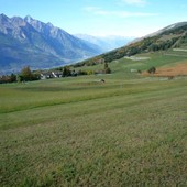 Agricoltura, approvato il primo piano di riordino fondiario