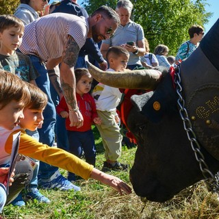 Bimbi alla scoperta del mondo agricolo; tornano gli 'Itinéraires de découverte'