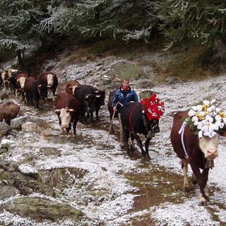 Valtournenche è pronta ad accogliere la grande festa della Desarpa