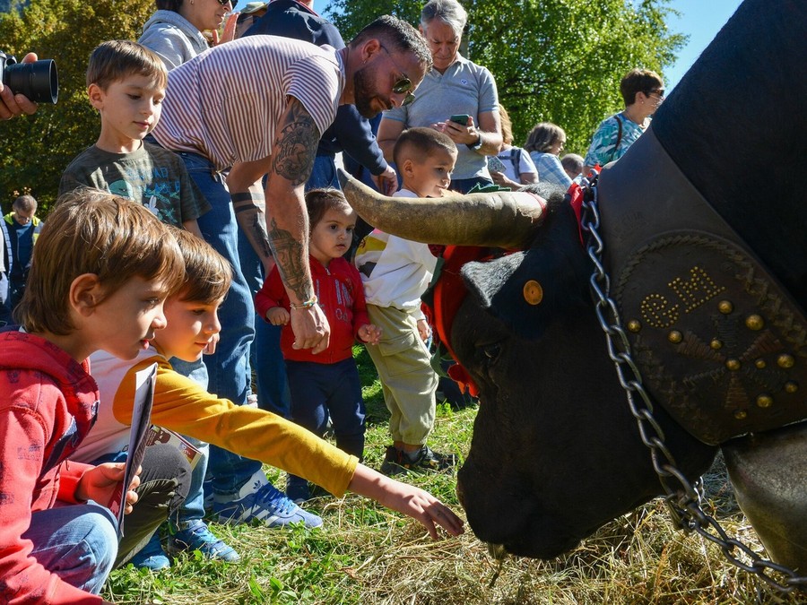 Bimbi alla scoperta del mondo agricolo; tornano gli 'Itinéraires de découverte'