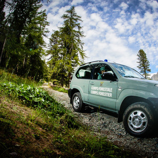 Avviato oggi il 14esimo corso per allievi Agenti forestali