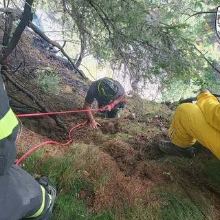 Domato incendio boschivo a Champorcher