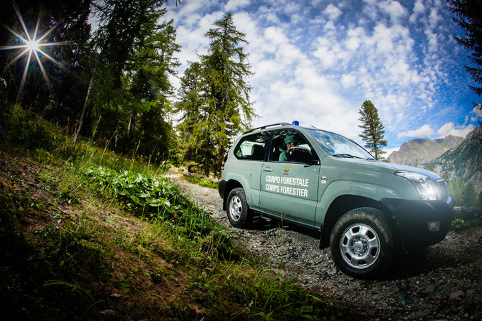 Avviato oggi il 14esimo corso per allievi Agenti forestali