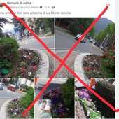 Aosta, il Comune pianta i fiori nella rotonda e qualcuno li ruba subito tutti