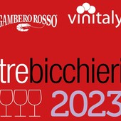 Tre Bicchieri 2024, i sei migliori vini valdostani premiati da Gambero Rosso