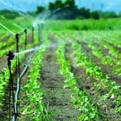 Sarre, razionata l'acqua per l'irrigazione