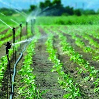 Sarre, razionata l'acqua per l'irrigazione