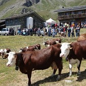 Sostegno regionale alla campagna 2023 per gli aiuti alla monticazione