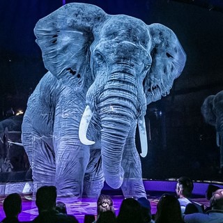 La 'grande magia' del circo Medini con animali olografici alla Croix Noire