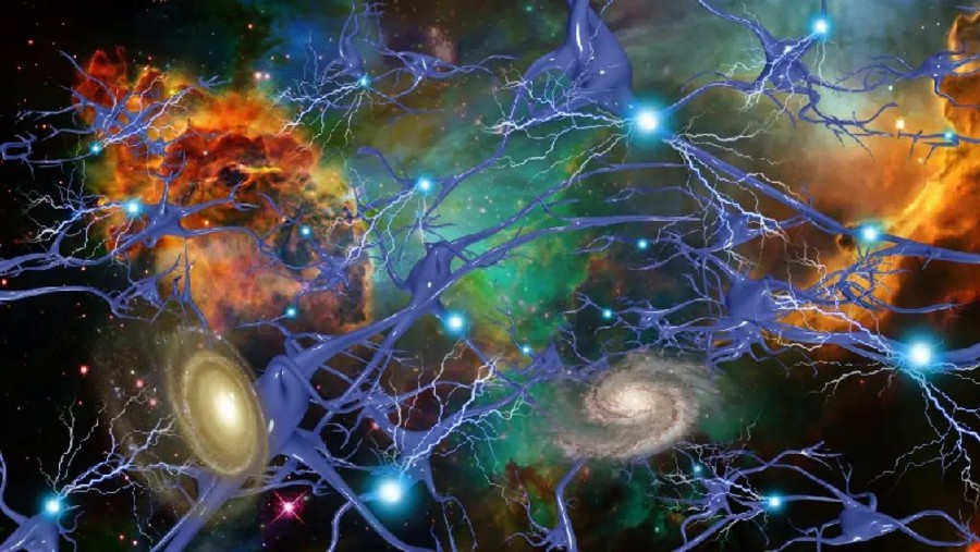 Micro e macrocosmo; l’universo come il cervello umano