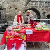 Ad Aosta è tornata la Mela di Aism