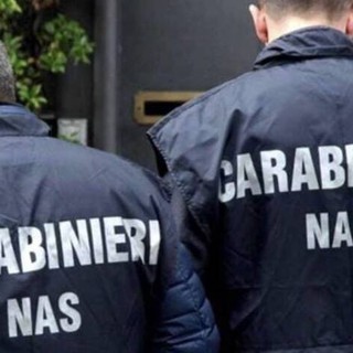 Alimenti mal conservati e igiene pessima, chiuso dai carabinieri un ortofrutta ad Aosta