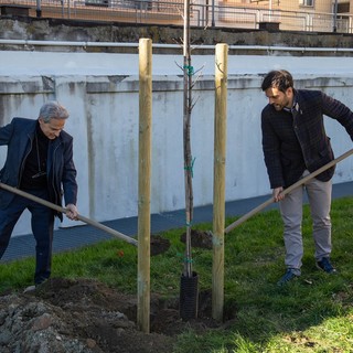 Il sindaco Nuti e l'assessore Carrel hanno 'inaugurato' la piantumazione