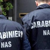 Alimenti mal conservati e igiene pessima, chiuso dai carabinieri un ortofrutta ad Aosta