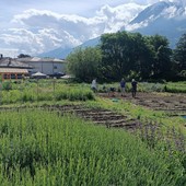 Ad Aosta c'è chi lavora per migliorare gli spazi urbani in relazione con la natura