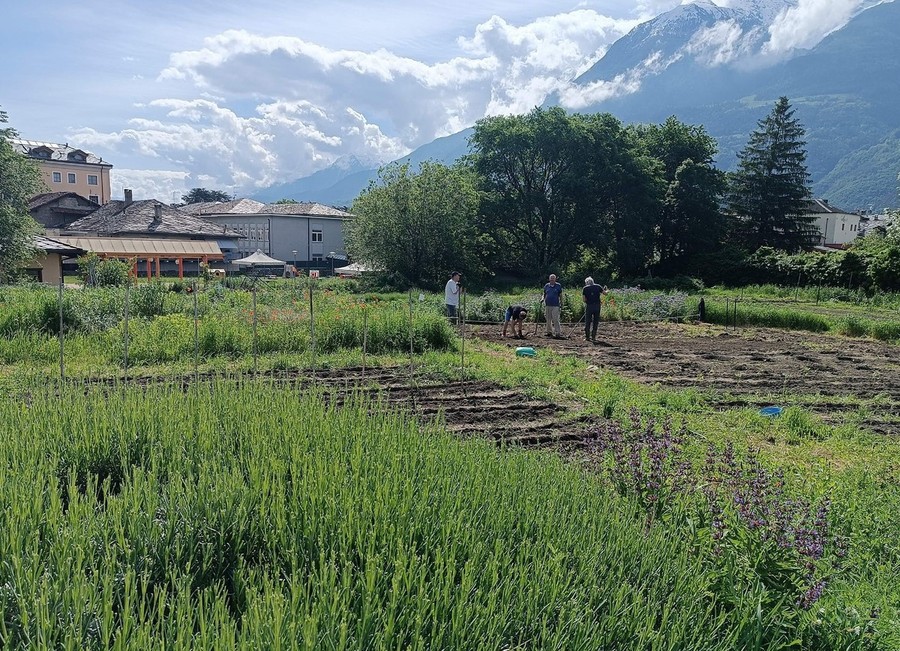 Ad Aosta c'è chi lavora per migliorare gli spazi urbani in relazione con la natura