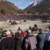 Per la prima volta è svizzera la bovina 'reina' dell'Espace Mont Blanc