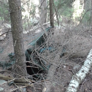 Resti umani in un bosco a Gressan; sono di un 72enne di Quart scomparso nel 2021