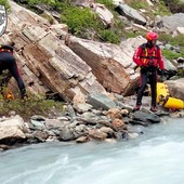 Un border collie e un capriolo cadono in torrente e muoiono