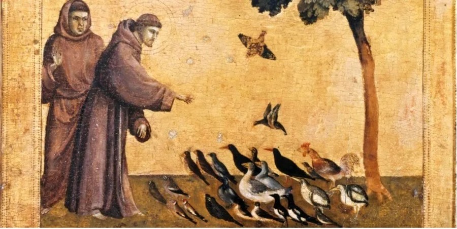 Oggi si celebra San Francesco D 'Assisi; la sua vita e il suo pensiero