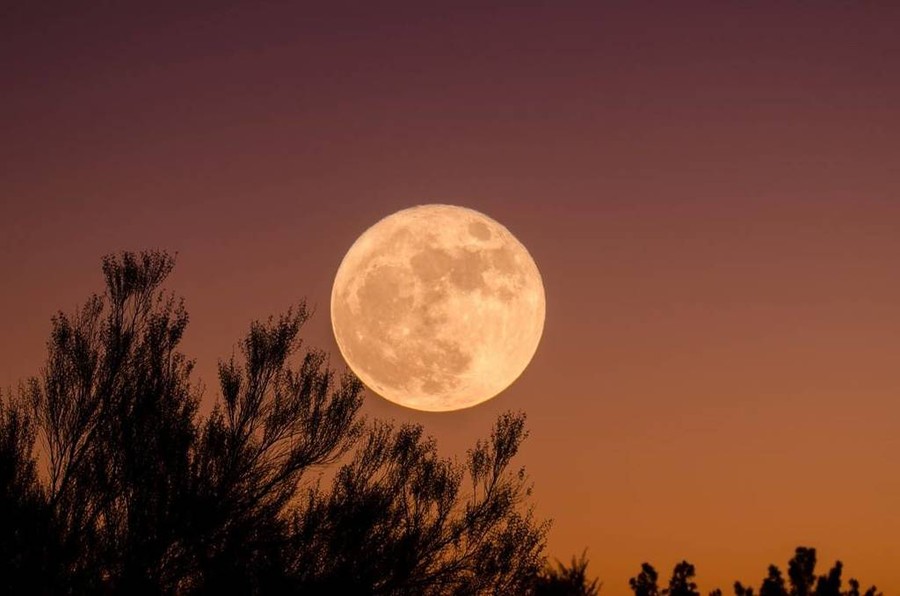 Arriva questa sera e se ne andrà domenica l'ultima 'Superluna' del 2024