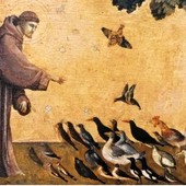 Oggi si celebra San Francesco D 'Assisi; la sua vita e il suo pensiero