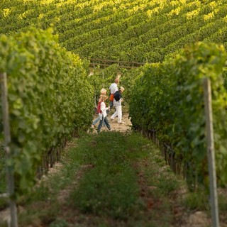 TraMonti diVini con Grosjean Vins